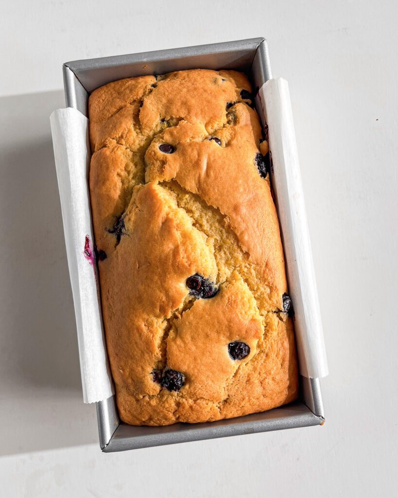 Blueberry Lemon Loaf Vegan and Eggless