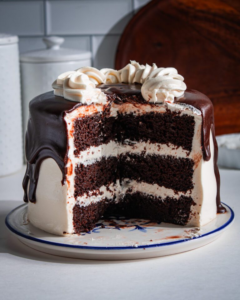 Close-up of moist eggless vegan chocolate cake crumb texture