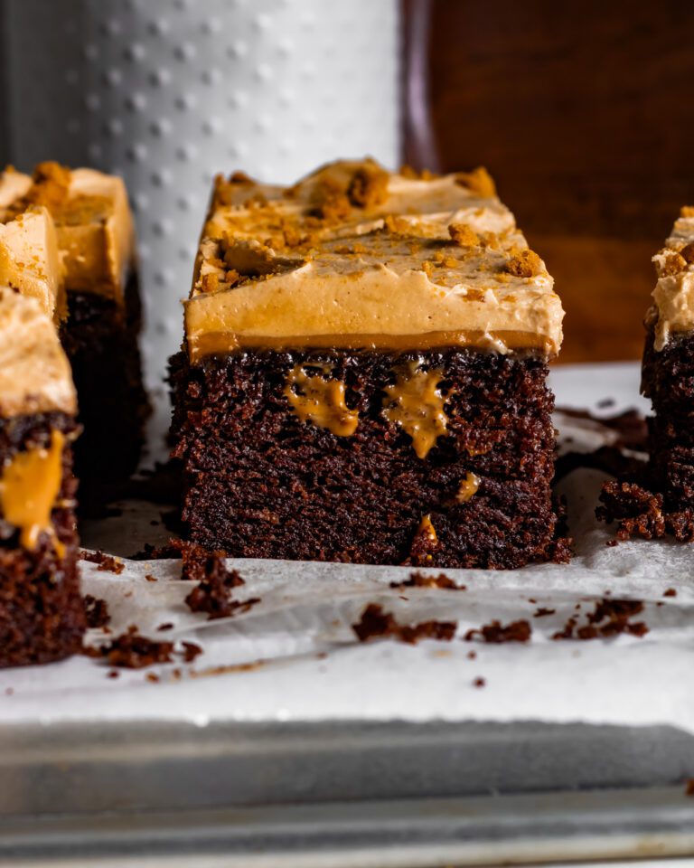 Close-up of moist chocolate sponge with melted Biscoff spread and creamy cookie butter frosting